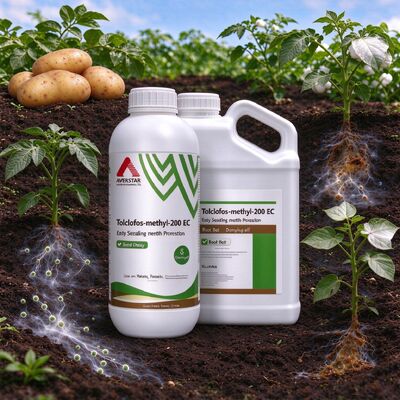 Tolclofos-methyl 20% EC is a Broad-spectrum systemic organophosphorus fun gicid, primarily used for controlling soil-borne diseases, with a focus on preventive and protective effects