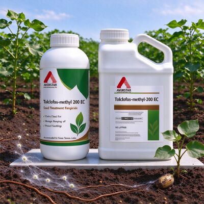 Tolclofos-methyl 20% EC is a Broad-spectrum systemic organophosphorus fun gicid, primarily used for controlling soil-borne diseases, with a focus on preventive and protective effects