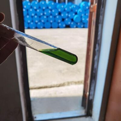 Validamycin Fungicide Jinggangmycin 10% SL 60%TC With Validamycin And CAS No. 37248-47-8