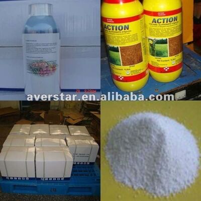 Paclobutrazol 15% WP Plant Growth Regulator for Enhanced Flowering