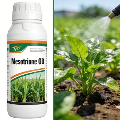 Mesotrione ++ OD