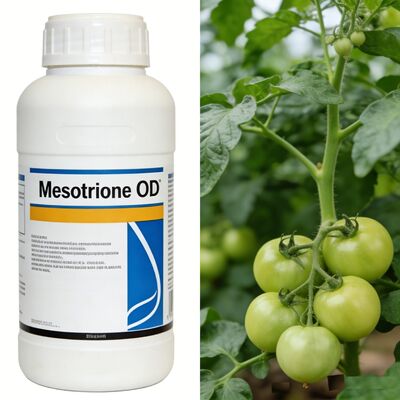 Mesotrione ++ OD