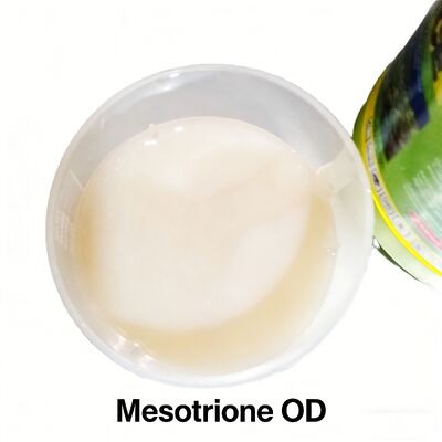 Mesotrione ++ OD