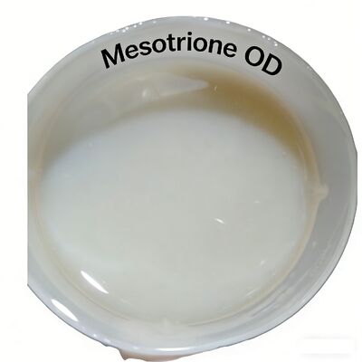 Mesotrione ++ OD