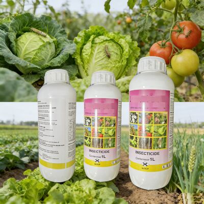 Chlorfenapyr 15% + Chlor antrani liprole 5% SC Efficient Broad-spectrum in secticidal