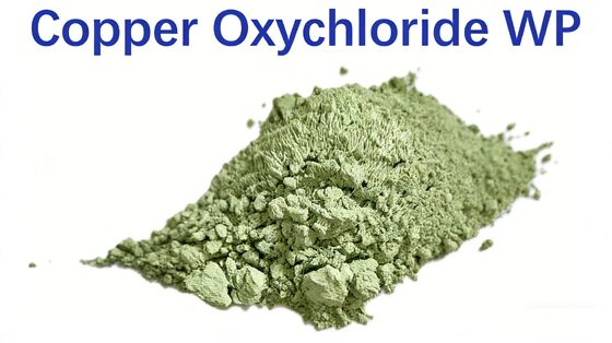 Copper Oxychloride 50% WP Fungicid e