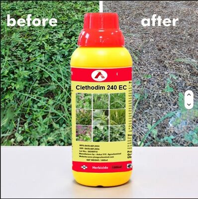 rm43 weed preventer total vegetation control Clethodim 24% EC 95% Tech herbicid e