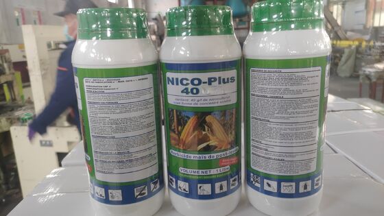 Corn field professional herbicide Nicosulfuron 40 OD
