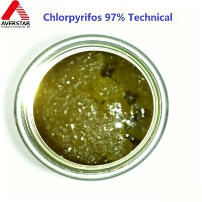 Insecti cide Chlorpyrifos 480 EC 25% WP 97% Tech Chlorpyrifos + Cypermethrin Double the insecti cidal effect
