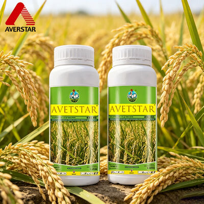 Rice Post-Emergence Grass Broadleaf Herbicide Propanil 360g/L + Triclopyr 72g/L EC OEM Private Label Factory