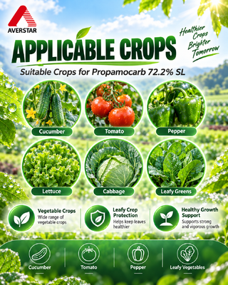 Propamocarb Hydrochloride 72% SL Fungicide | Bulk Supplier