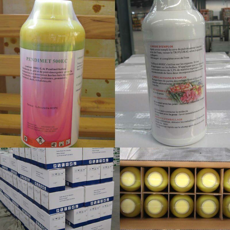 herbicide use Pendimethalin EC Tech in Corn Field
