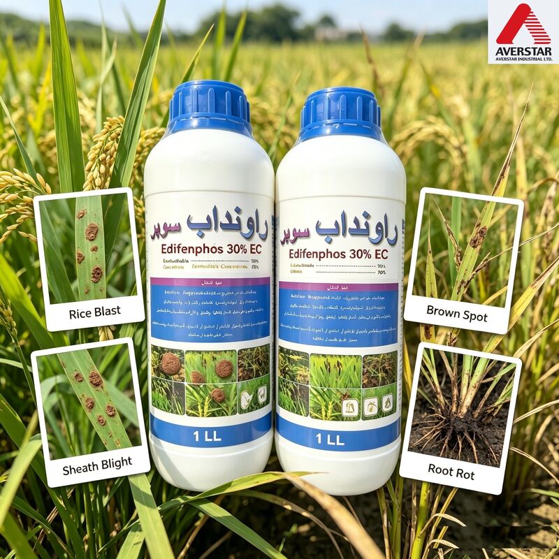 Edifenphos 30% EC A broad-spectrum organic phosphorus fun gicide with systemic absorption, as well as protective and therapeutic effects