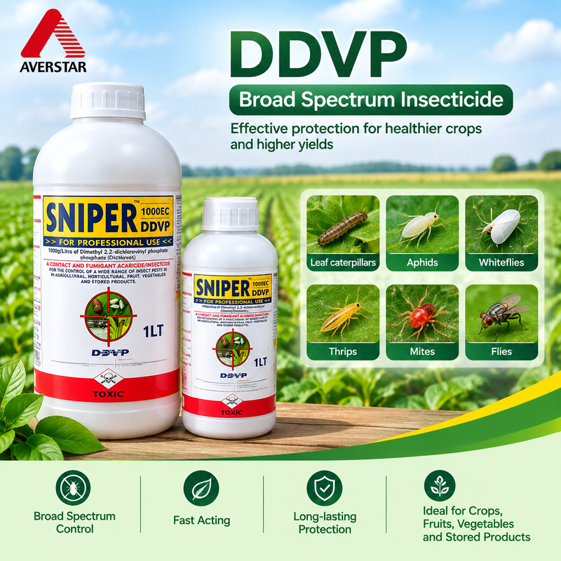 Insecticide Dichlorvos (DDVP) 1000 G/L EC Organophosphate Insecticide for Fly and Stored Pest Control